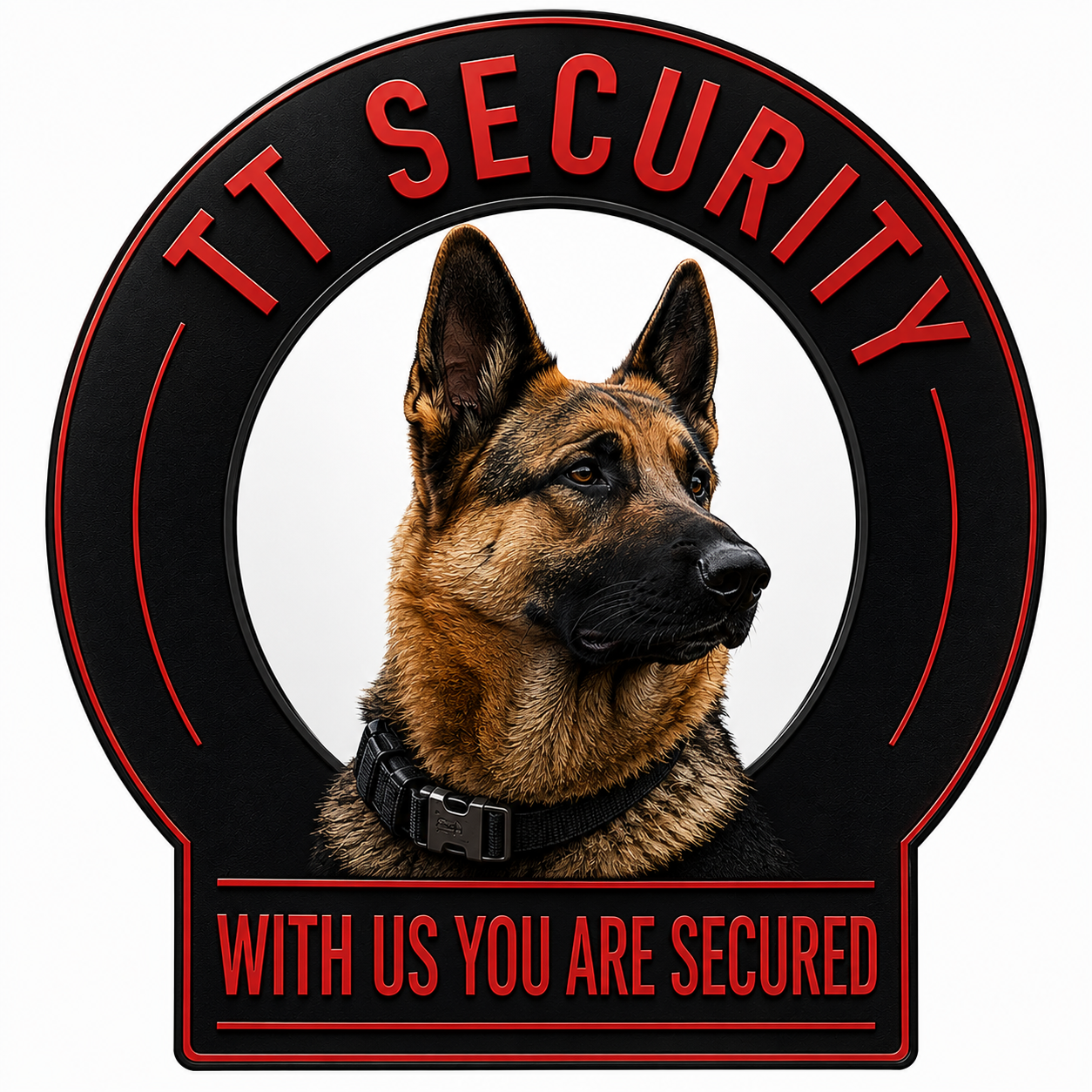TT Security logo